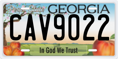 GA license plate CAV9022