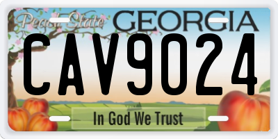 GA license plate CAV9024