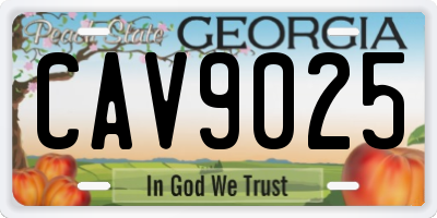 GA license plate CAV9025