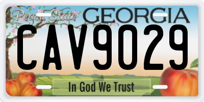 GA license plate CAV9029