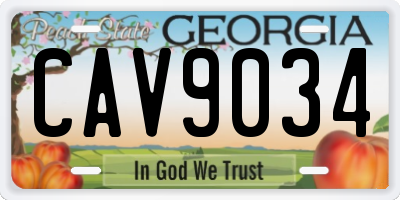 GA license plate CAV9034