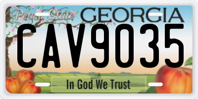 GA license plate CAV9035