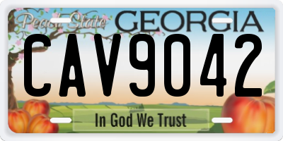 GA license plate CAV9042