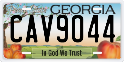 GA license plate CAV9044