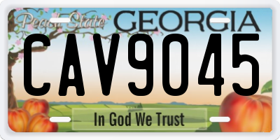 GA license plate CAV9045