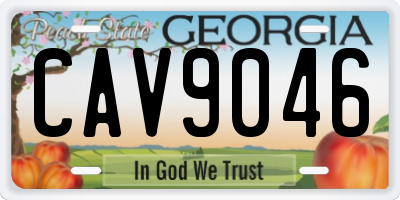 GA license plate CAV9046