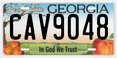 GA license plate CAV9048