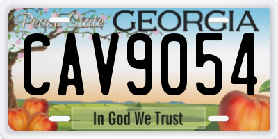GA license plate CAV9054