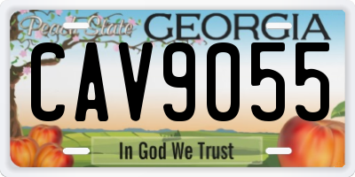 GA license plate CAV9055