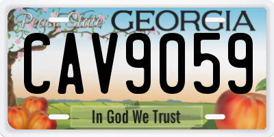 GA license plate CAV9059