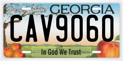 GA license plate CAV9060