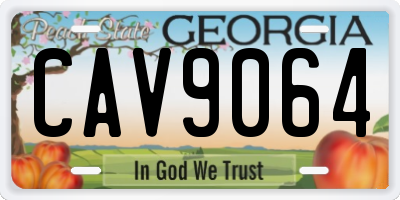 GA license plate CAV9064