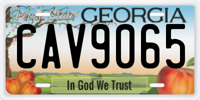 GA license plate CAV9065