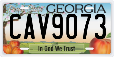 GA license plate CAV9073