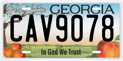 GA license plate CAV9078