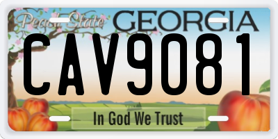 GA license plate CAV9081