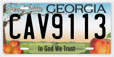 GA license plate CAV9113