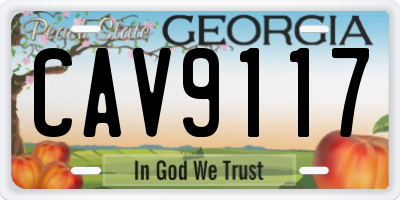 GA license plate CAV9117