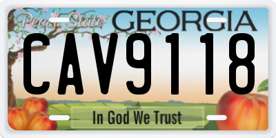 GA license plate CAV9118