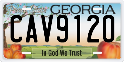 GA license plate CAV9120