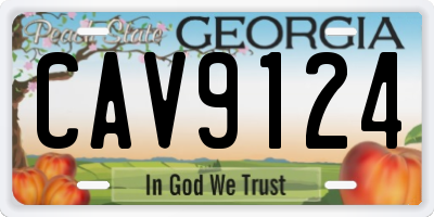 GA license plate CAV9124