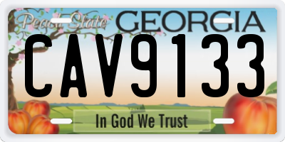 GA license plate CAV9133