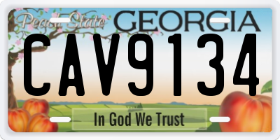 GA license plate CAV9134