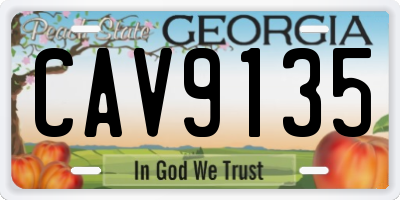 GA license plate CAV9135