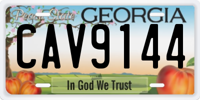 GA license plate CAV9144