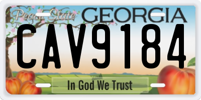 GA license plate CAV9184