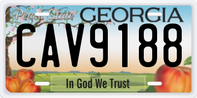 GA license plate CAV9188