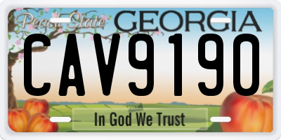 GA license plate CAV9190