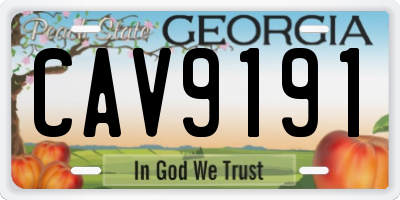 GA license plate CAV9191