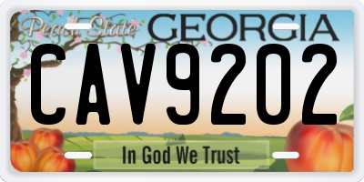 GA license plate CAV9202