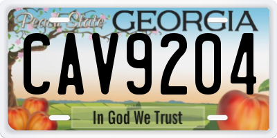 GA license plate CAV9204