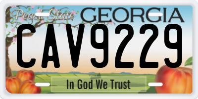 GA license plate CAV9229