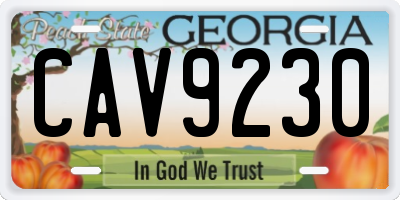 GA license plate CAV9230