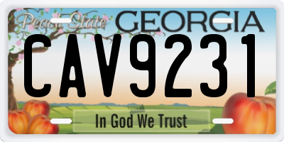 GA license plate CAV9231