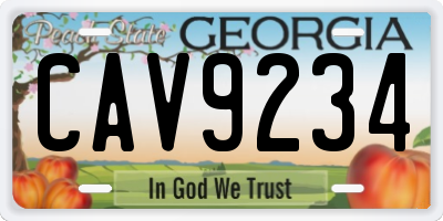 GA license plate CAV9234