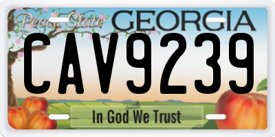 GA license plate CAV9239