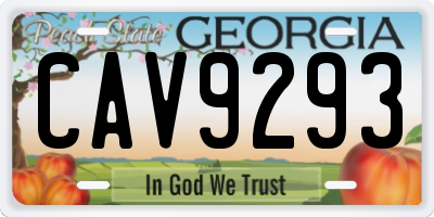 GA license plate CAV9293