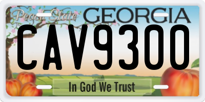 GA license plate CAV9300