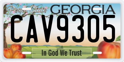 GA license plate CAV9305
