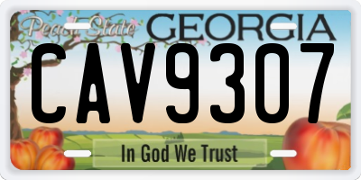 GA license plate CAV9307