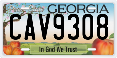 GA license plate CAV9308