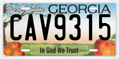 GA license plate CAV9315