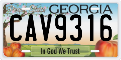 GA license plate CAV9316