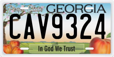 GA license plate CAV9324