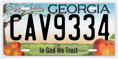 GA license plate CAV9334