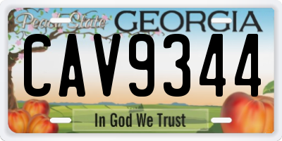 GA license plate CAV9344